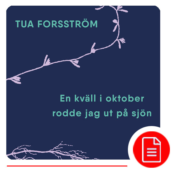 En kväll i oktober rodde jag ut på sjön