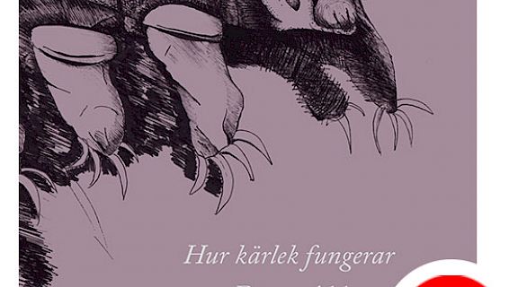 Hur kärlek fungerar